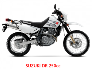 hoi an to ha noi motorbike rental