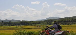 da-nang-to-ho-chi-minh-motorbike-rental