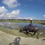 hoi an motorbike tours
