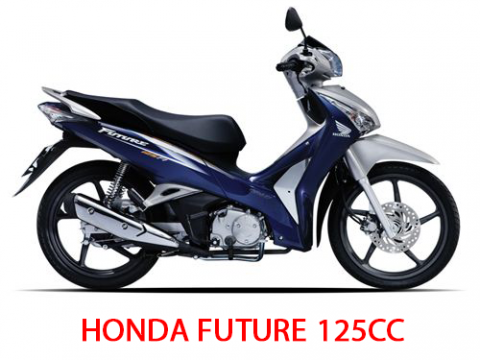 rent-motorbike-in-ha-noi-to-hue (2)