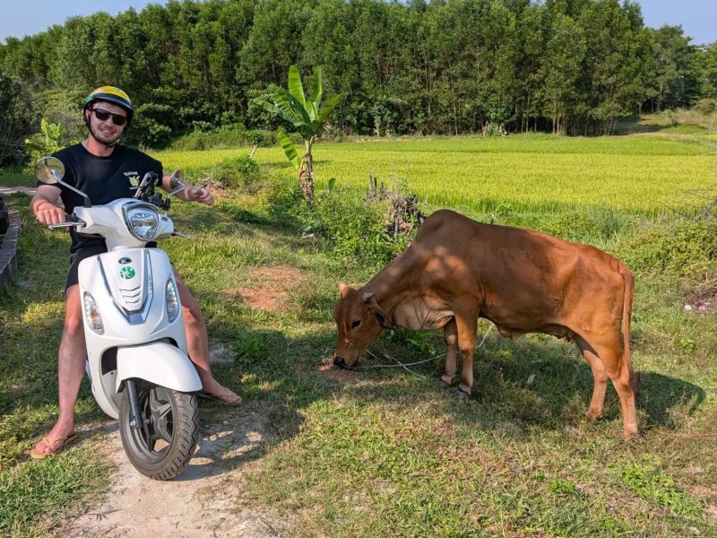 Hue One-Way 50cc Bike Rental (1)